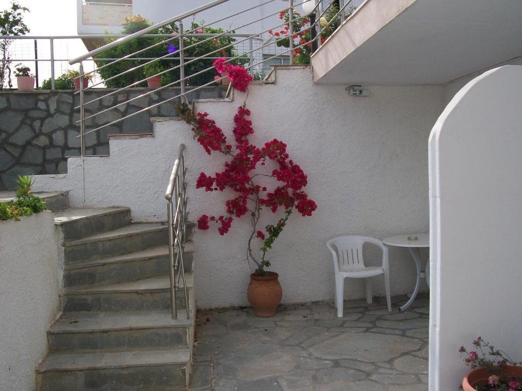 Paschalia Sea View Studios Psakoudia Exterior foto